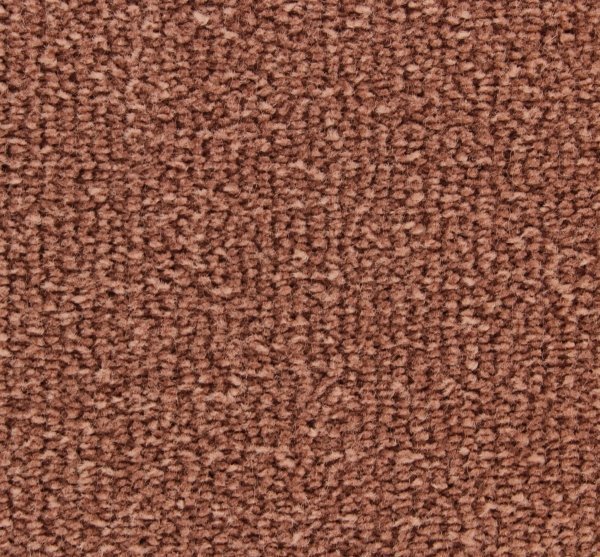 Edel Carpet - Adoration - Image 8