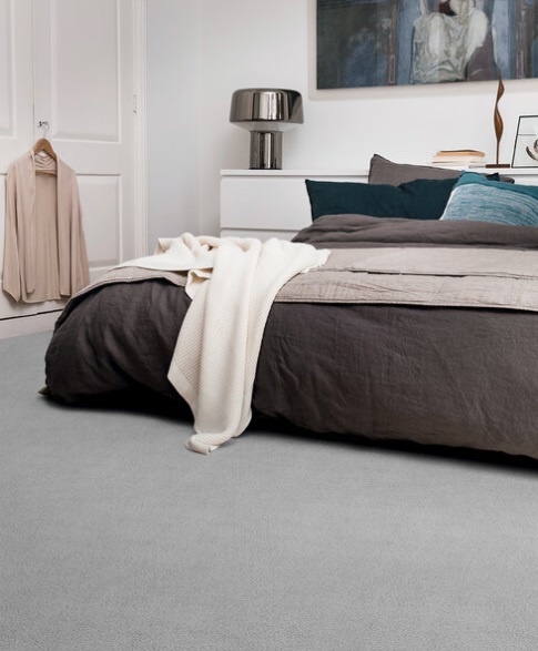 Edel Carpet - Palmares