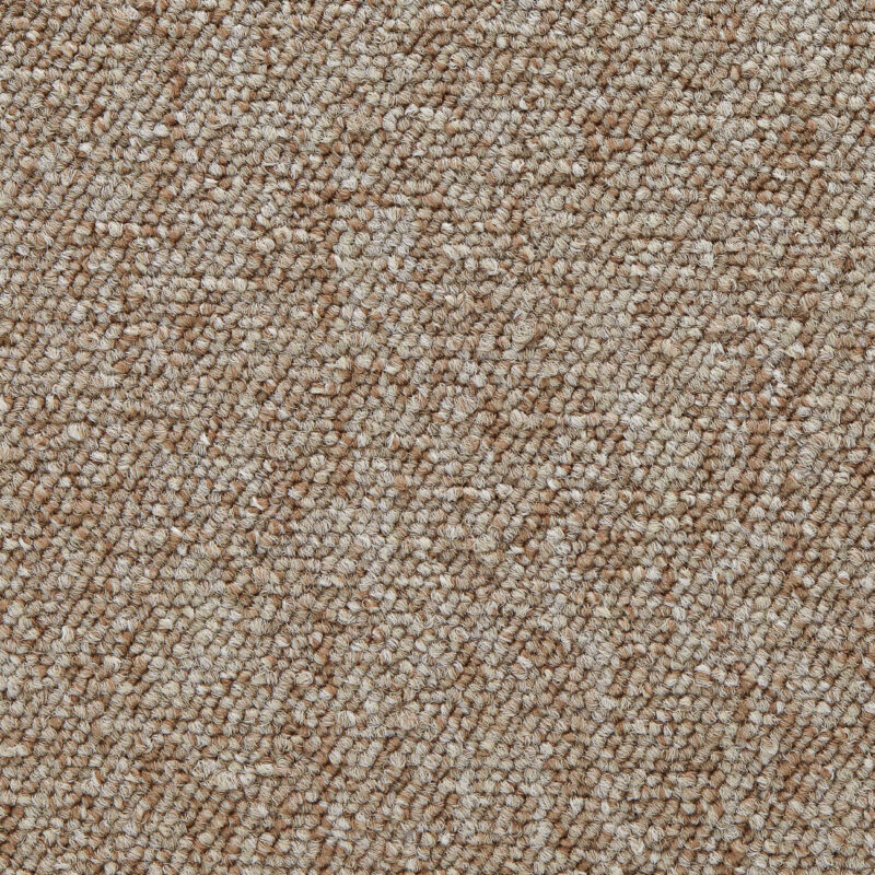 Edel Carpet - Helsinki - Image 3