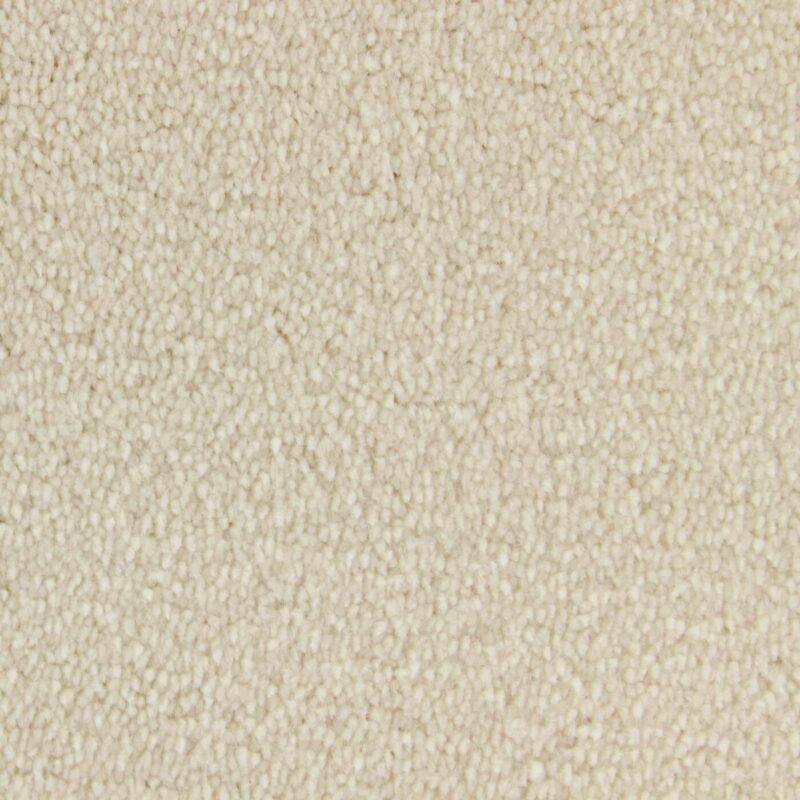 Edel Carpet - Palmares - Image 2