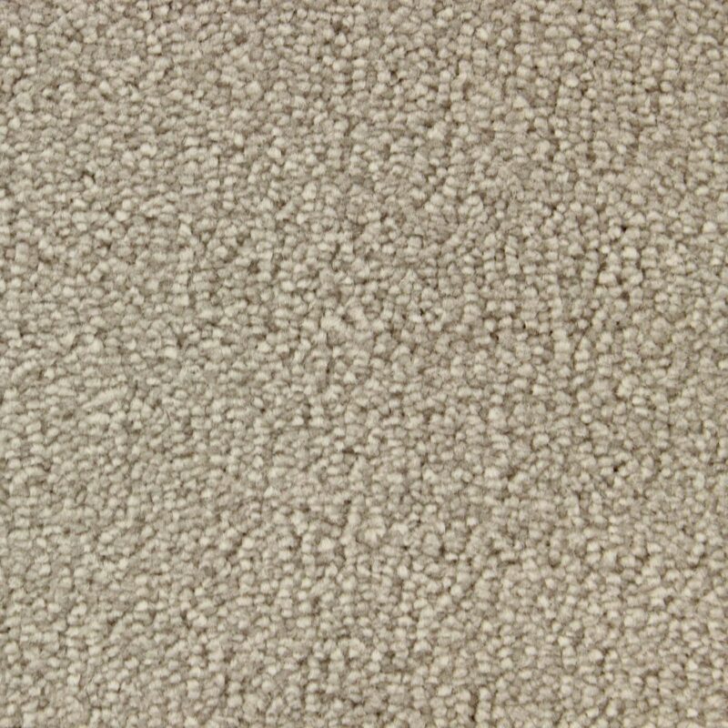 Edel Carpet - Palmares - Image 3
