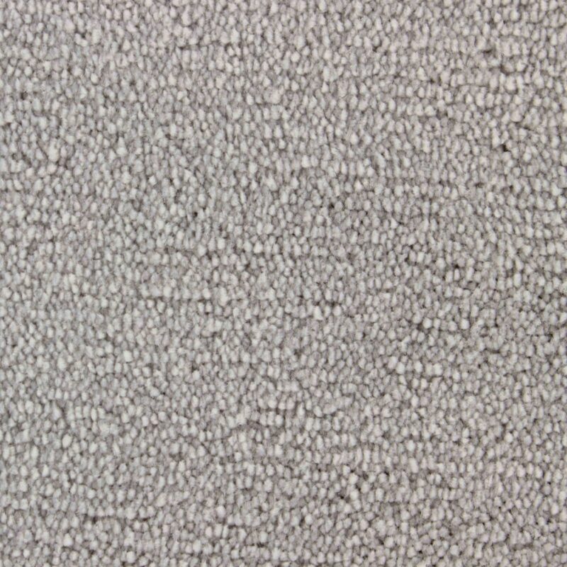 Edel Carpet - Palmares - Image 4