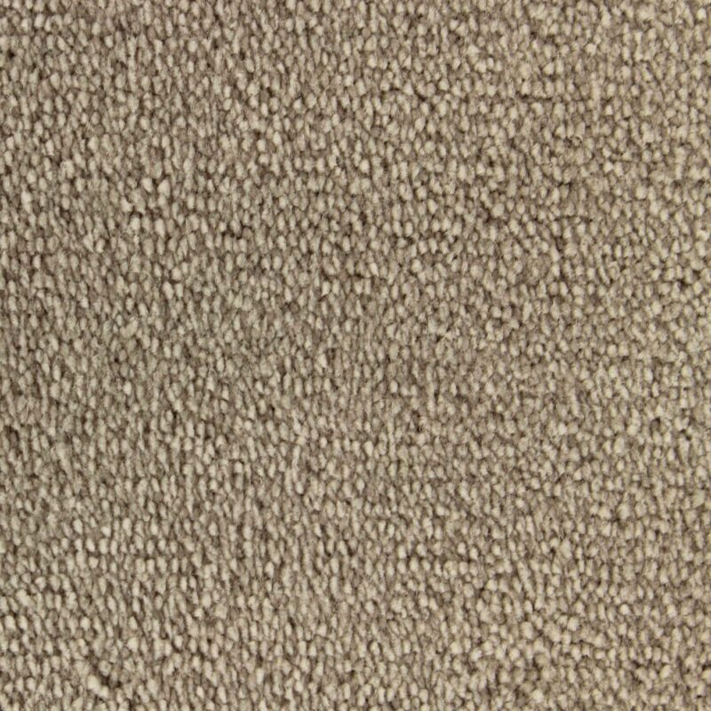 Edel Carpet - Palmares - Image 5