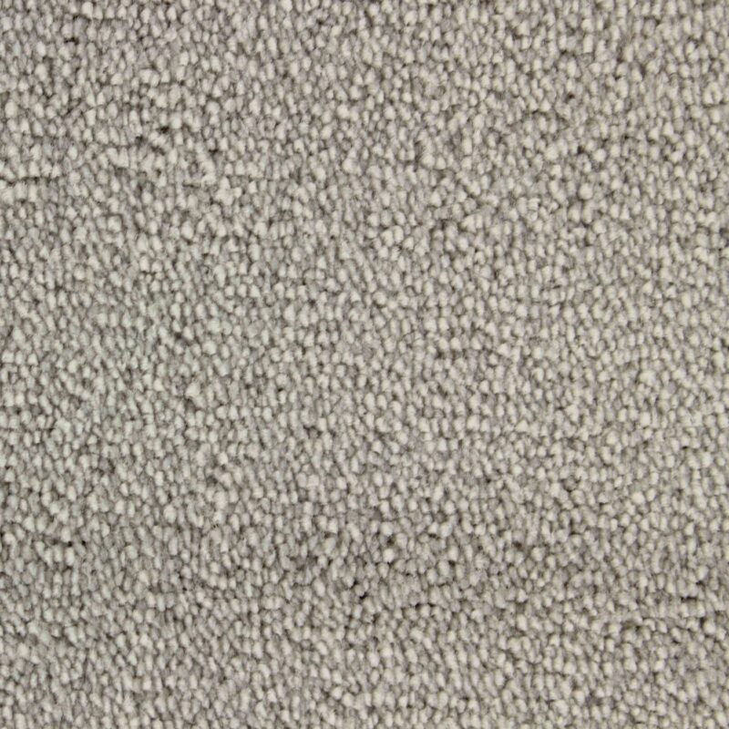 Edel Carpet - Palmares - Image 6