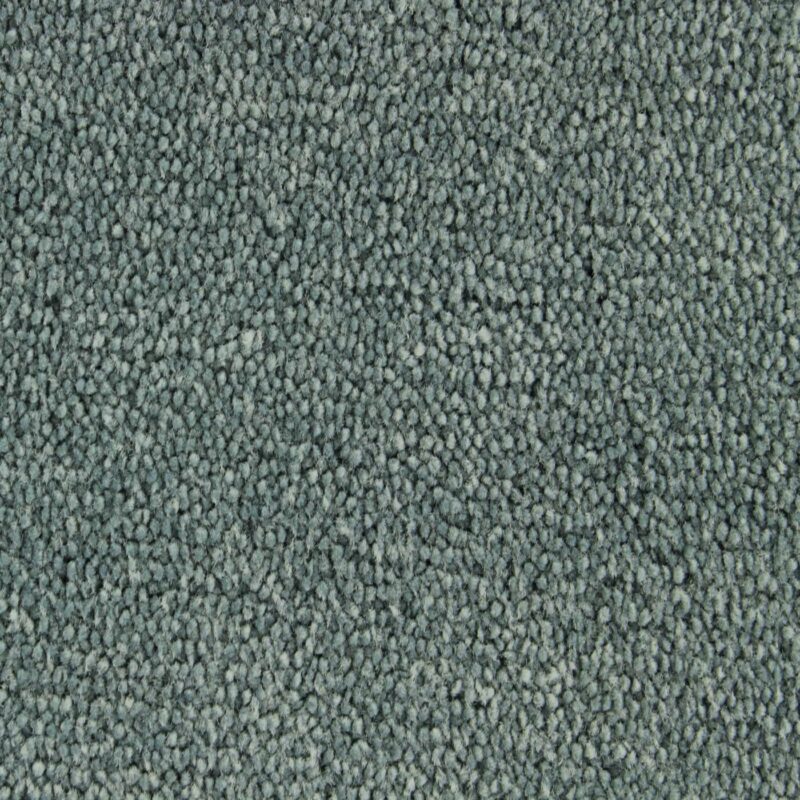 Edel Carpet - Palmares - Image 7