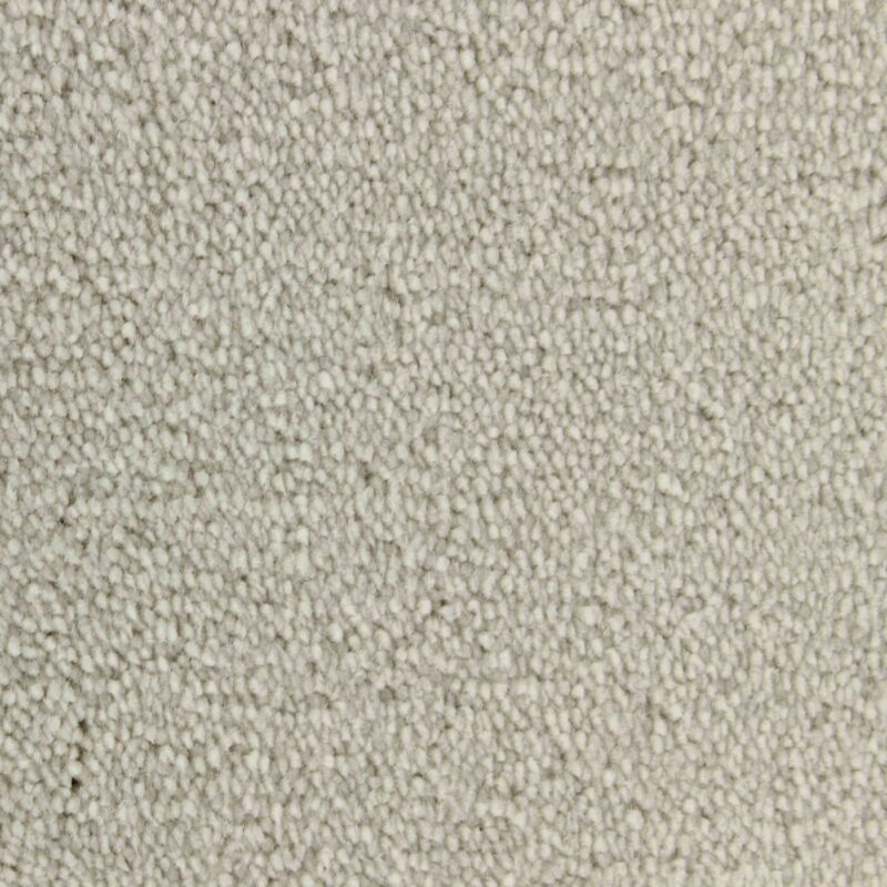 Edel Carpet - Palmares - Image 8