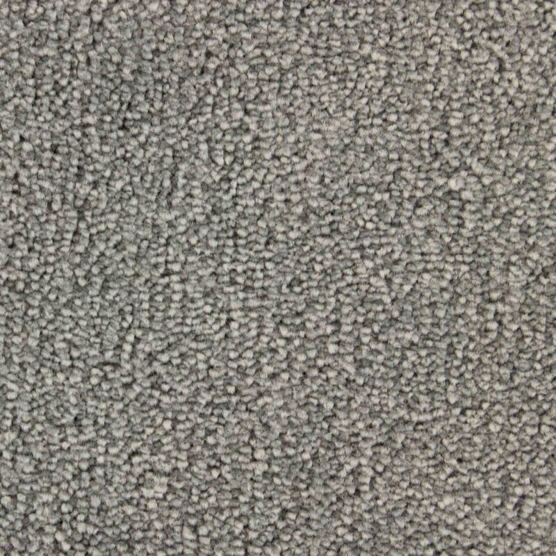 Edel Carpet - Palmares - Image 9