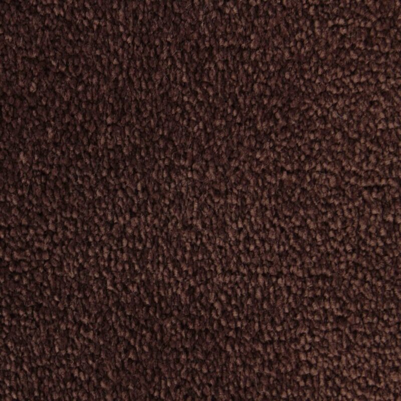 Edel Carpet - Palmares - Image 10