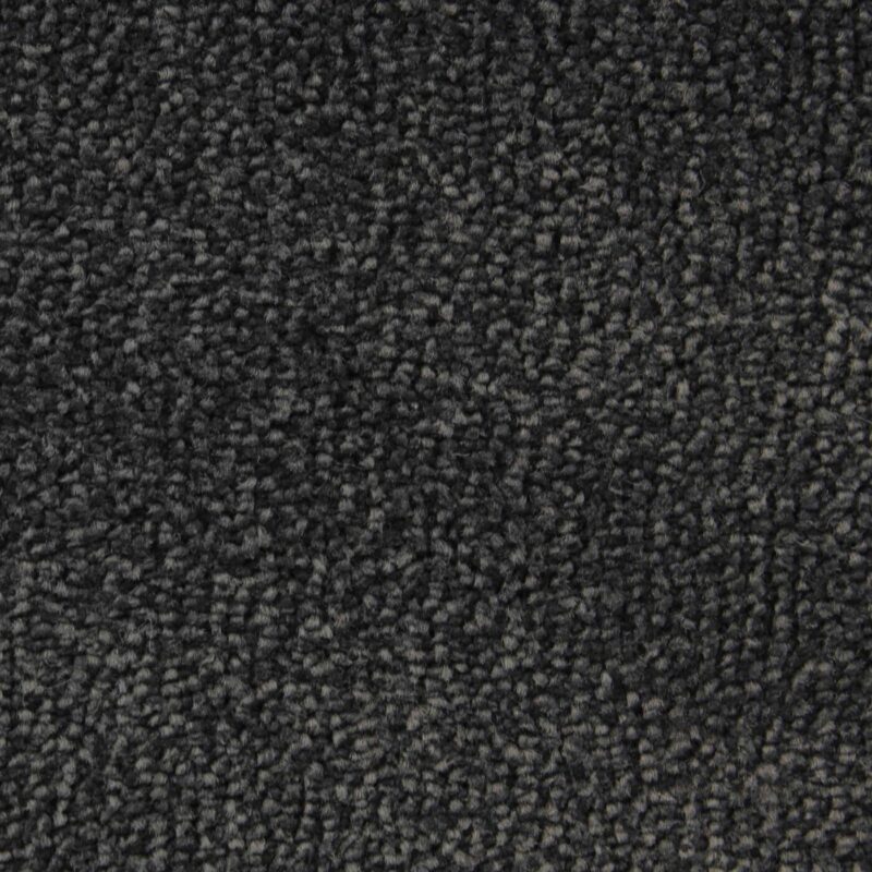 Edel Carpet - Palmares - Image 11