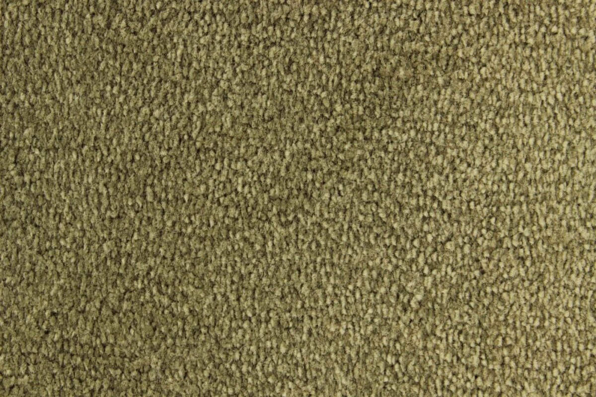 Edel Carpet - Palmares - Image 12