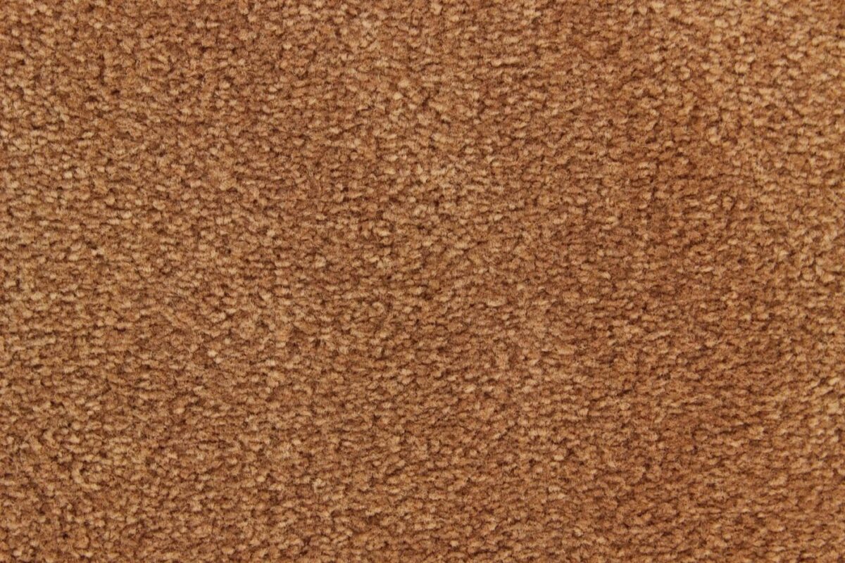 Edel Carpet - Palmares - Image 13