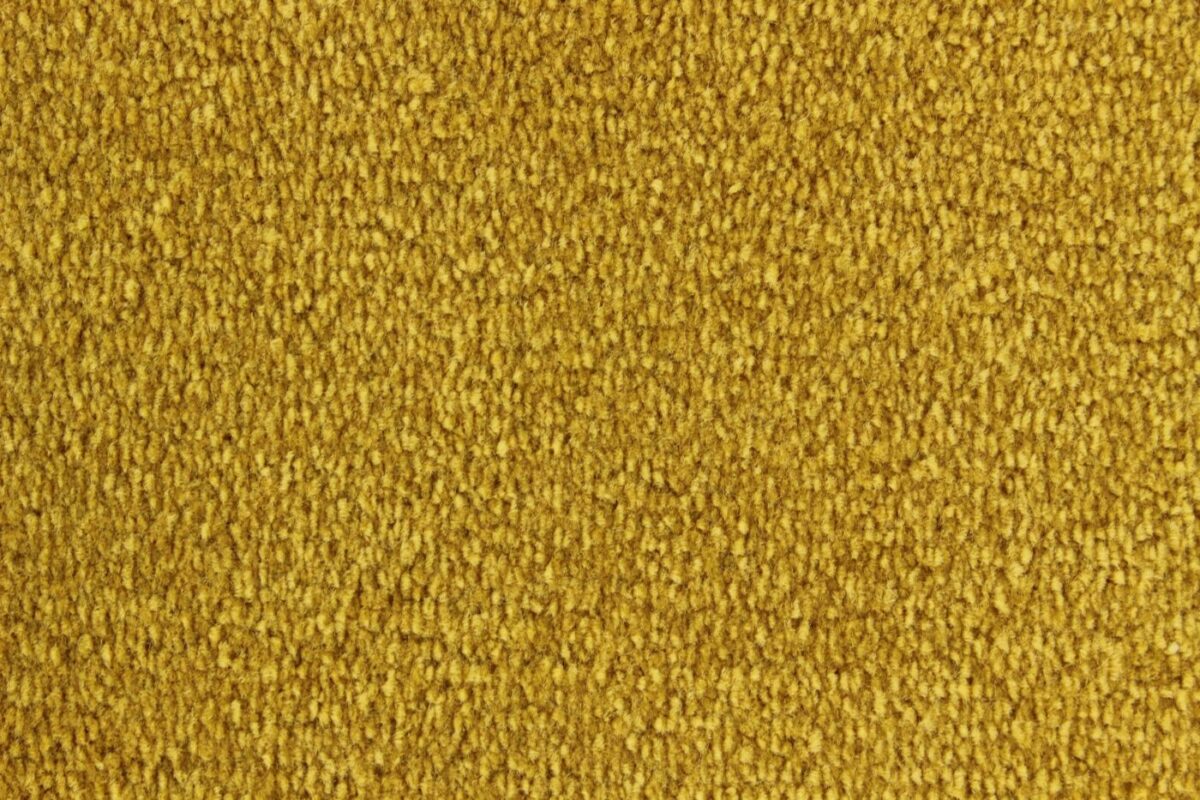 Edel Carpet - Palmares - Image 15