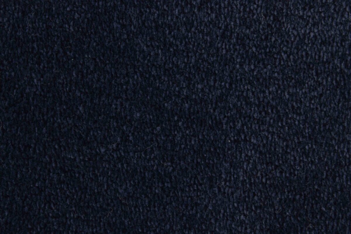 Edel Carpet - Palmares - Image 16